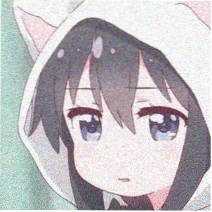 观众木棉